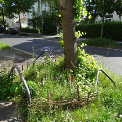 Insekten schützen Straßenbaum