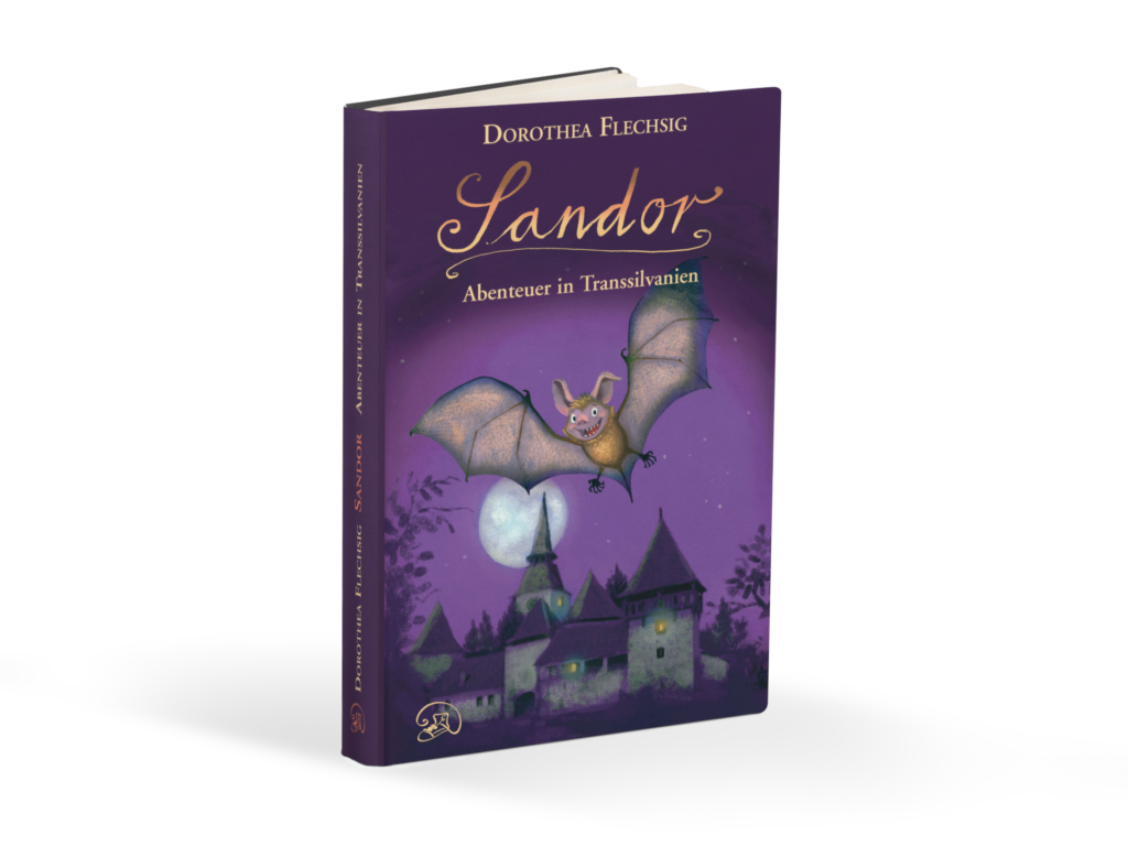 Sandor Abenteuer in Transsilvanien Buch