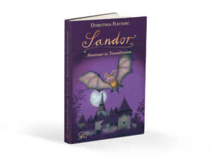 Sandor Abenteuer in Transsilvanien Buch