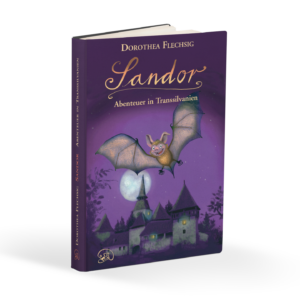 Sandor Abenteuer in Transsilvanien Buch