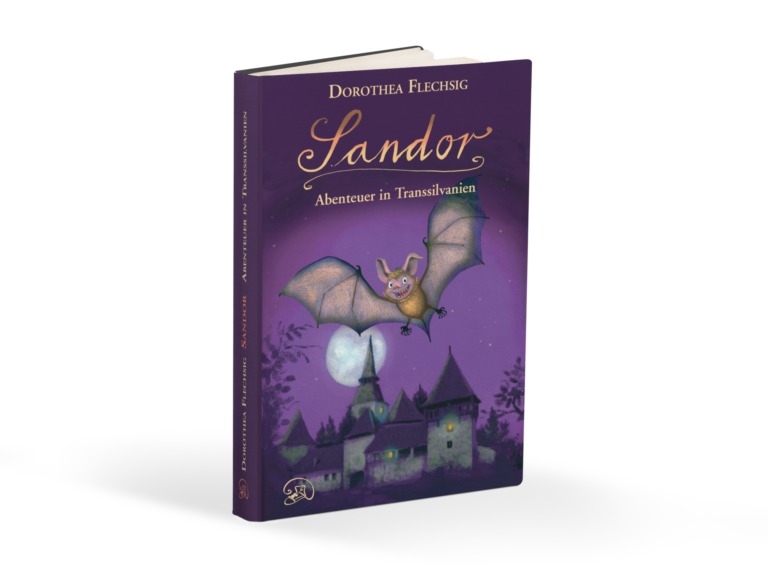 Sandor Abenteuer in Transsilvanien Buch