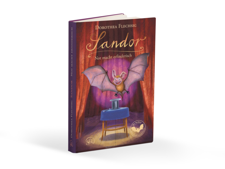 Sandor - Not macht erfinderisch Buch